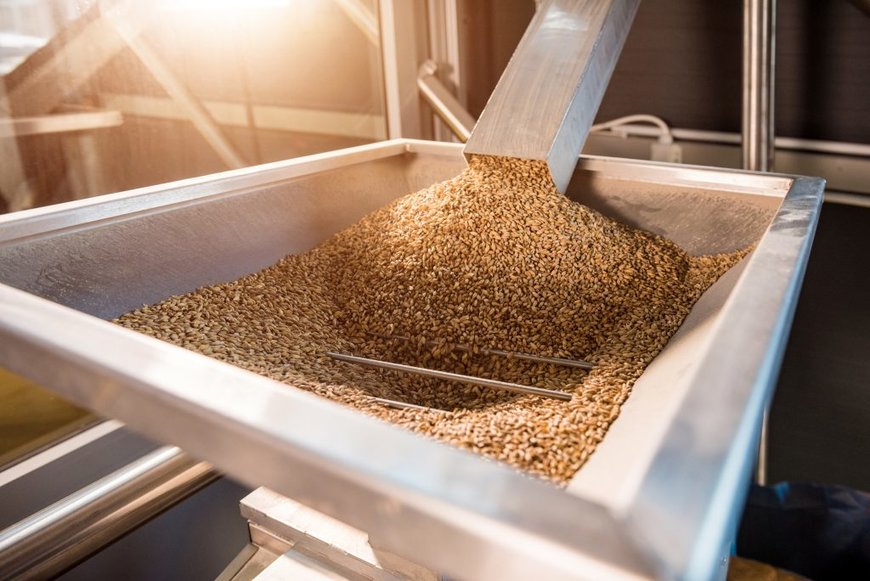 Malt production in Ethiopia is a booming market!